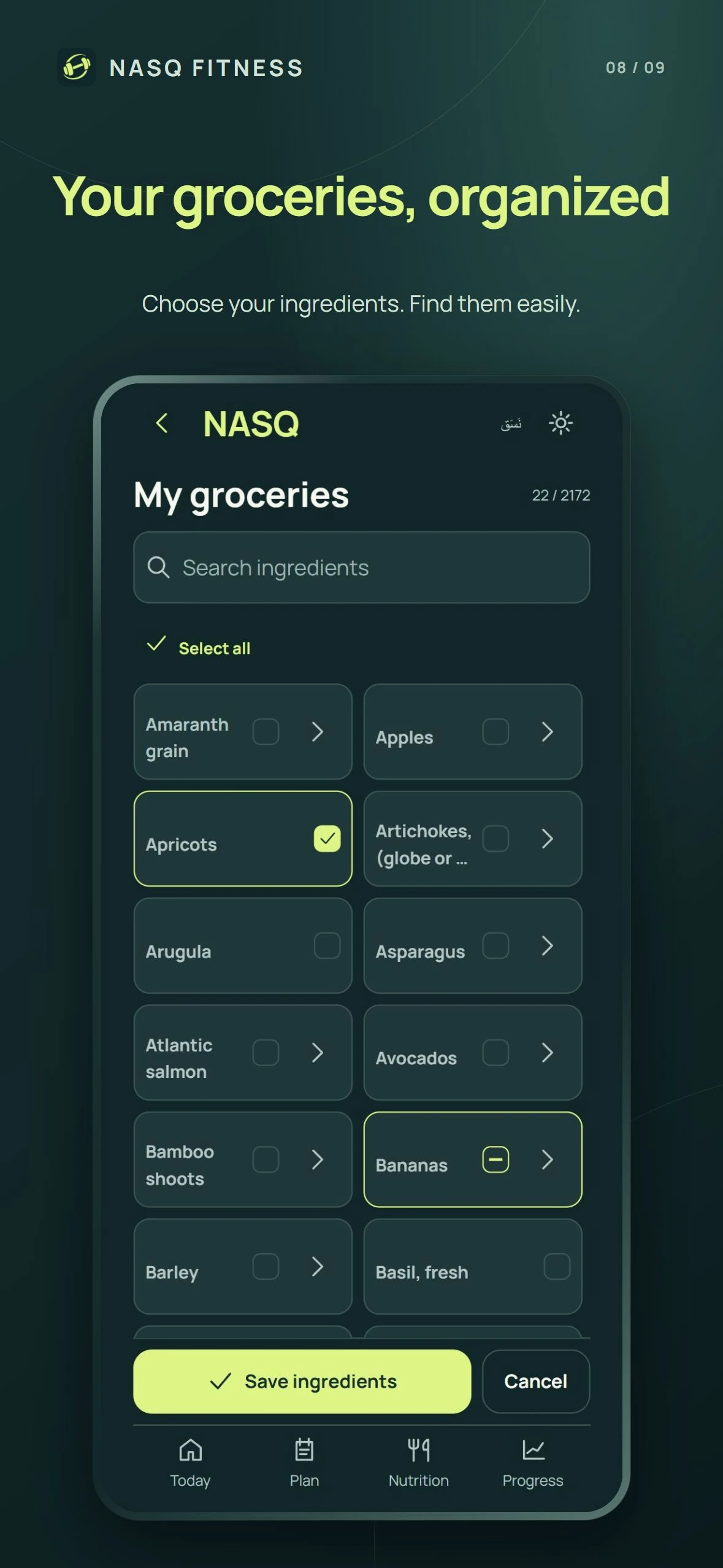 NASQ grocery selection showing ingredient choices